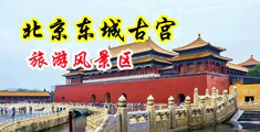 外国18岁美女猛插中国北京-东城古宫旅游风景区